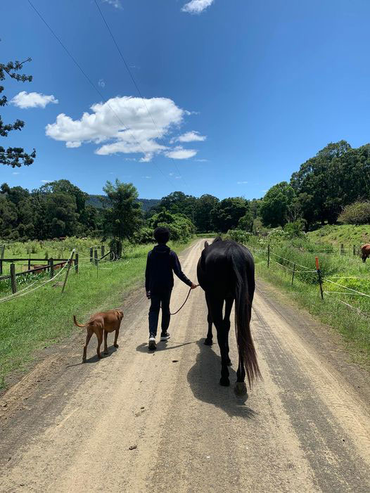 Horse Whispering works