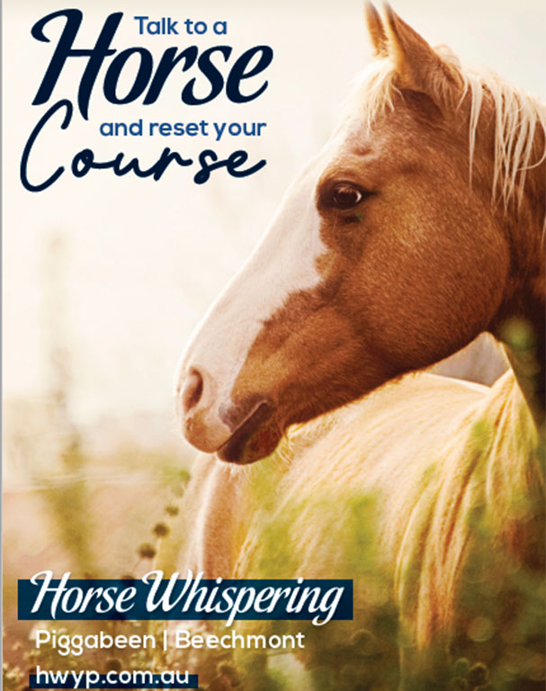 talk-to-a-horse